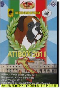 Boxer paintings by cinzia defendi guerrini for atibox 2011